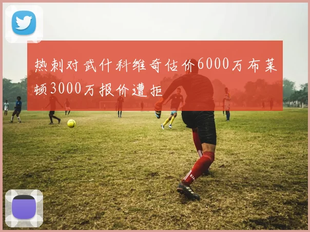 热刺对武什科维奇估价6000万布莱顿3000万报价遭拒