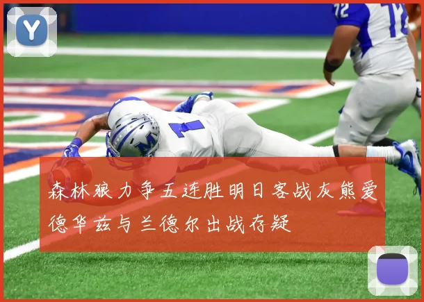 森林狼力争五连胜明日客战灰熊爱德华兹与兰德尔出战存疑
