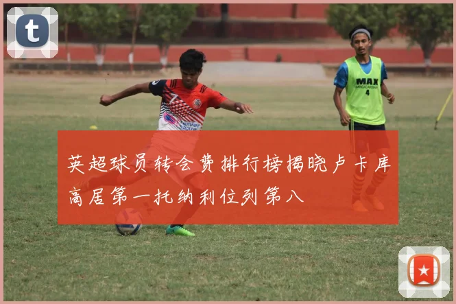 英超球员转会费排行榜揭晓卢卡库高居第一托纳利位列第八