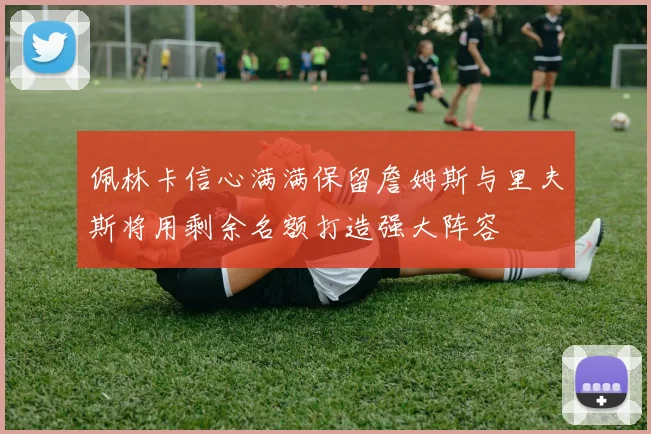 佩林卡信心满满保留詹姆斯与里夫斯将用剩余名额打造强大阵容
